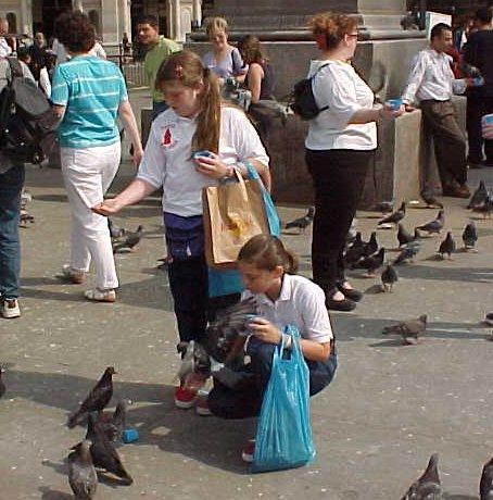 Feeding the pigeons in Trafalgar Square